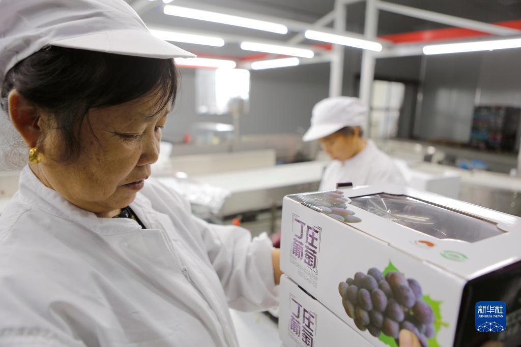 电子游戏送38彩金